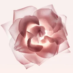 Femme Narciso Rodriguez Eau De Parfum|NARCISO