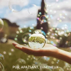 Cacharel Parfums Petits Prix|Eau De Toilette><noscript><img width=