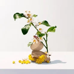 Femme Roger et Gallet Parfums & Eaux De Soins|Parfums Petits Prix|Néroli