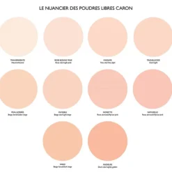 Caron Poudre De Teint>Poudre Libre Transparente