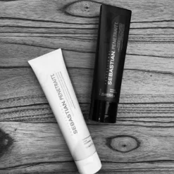 Sebastian Cheveux Secs / Abîmés / Cassants><noscript><img width=