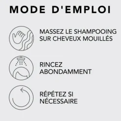 Sebastian Cheveux Secs / Abîmés / Cassants><noscript><img width=