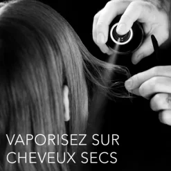 Sebastian Produits Coiffants></noscript>Professional Shaper Zero Gravity Spray coiffant