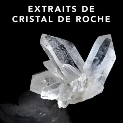 Sebastian Shampooing|Professional Trilliance Conditionneur