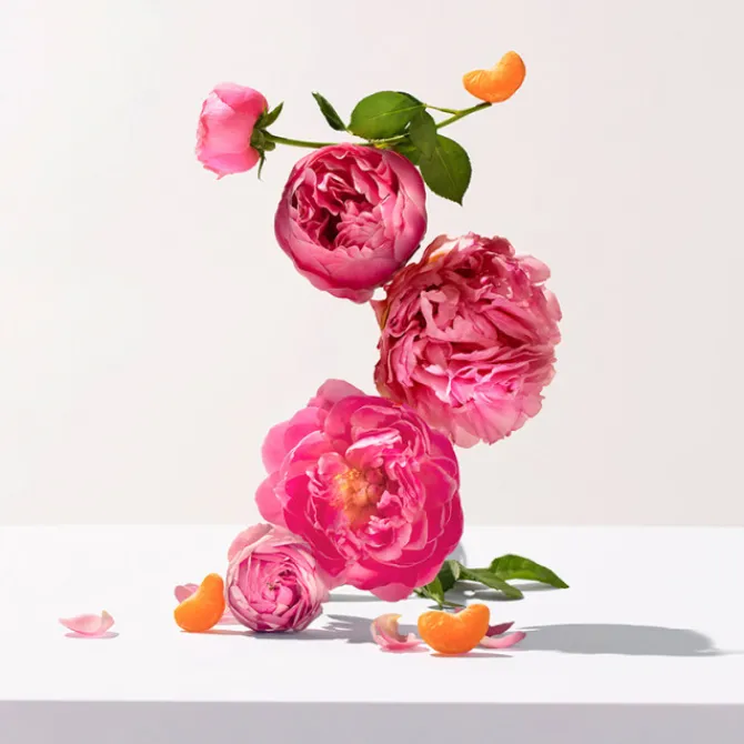 Roger et Gallet Douche & Bain|Bain & Douche>Rose