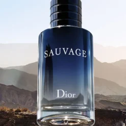Dior Parfums Rechargeables|Eau De Toilette></noscript>Sauvage