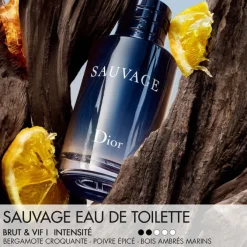 Dior Parfums Rechargeables|Eau De Toilette></noscript>Sauvage