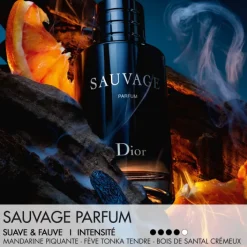 Dior Parfums Rechargeables|Eau De Parfum></noscript>Sauvage