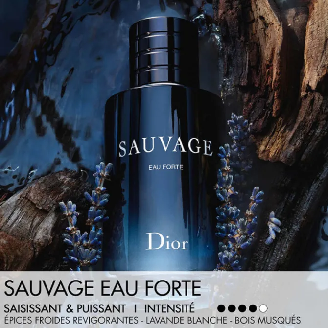 Dior Eau De Parfum>Sauvage Eau Forte