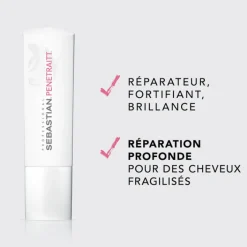 Sebastian Cheveux Secs / Abîmés / Cassants><noscript><img width=