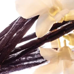 GUERLAIN Parfums Rechargeables|Eau De Toilette>Shalimar