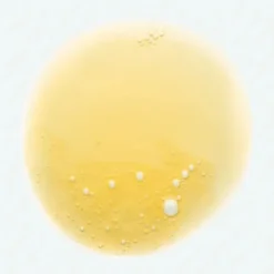 Klorane Shampooings|Cheveux Secs / Abîmés / Cassants|Shampoing Nutrition