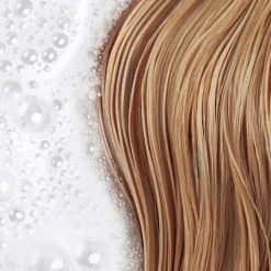 Phyto Shampooing>Shampooing Douceur