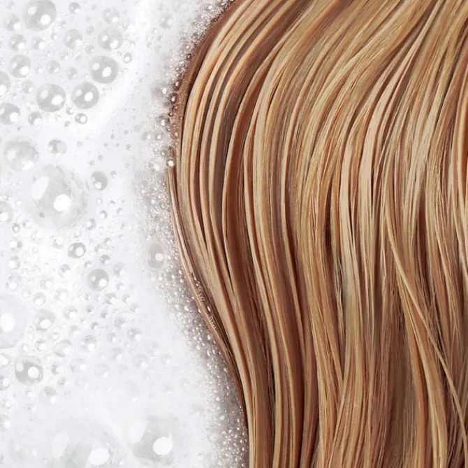 Phyto Shampooing>Shampooing Douceur