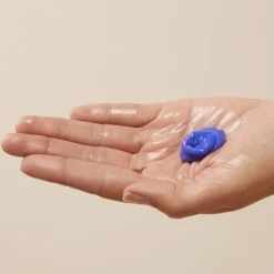 Aveda Cheveux Blonds / Décolorés / Gris / Blanc|Shampooing>Shampooing Violet Raviveur de Blond