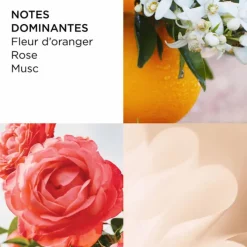 Elizabeth Arden Parfums Petits Prix|Eau De Toilette><noscript><img width=