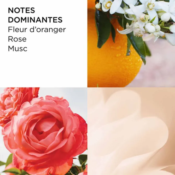 Elizabeth Arden Parfums Petits Prix|Eau De Toilette>Sun Flowers