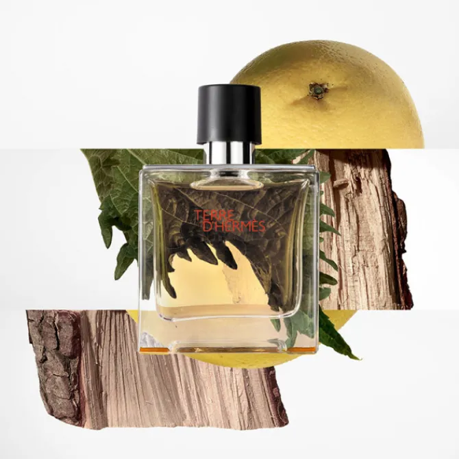 HERMES Eau De Parfum>Terre d'Hermès