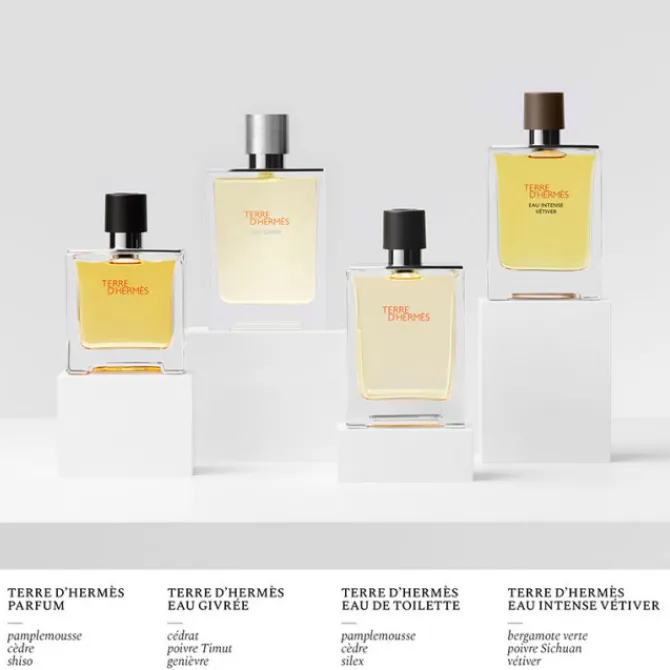HERMES Eau De Parfum>Terre d'Hermès