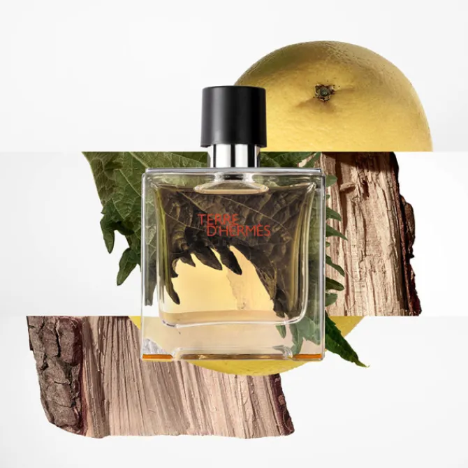 HERMES Coffrets Homme|Eau De Parfum>Terre d'Hermès