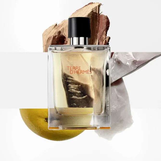 HERMES Eau De Toilette>Terre d'Hermès