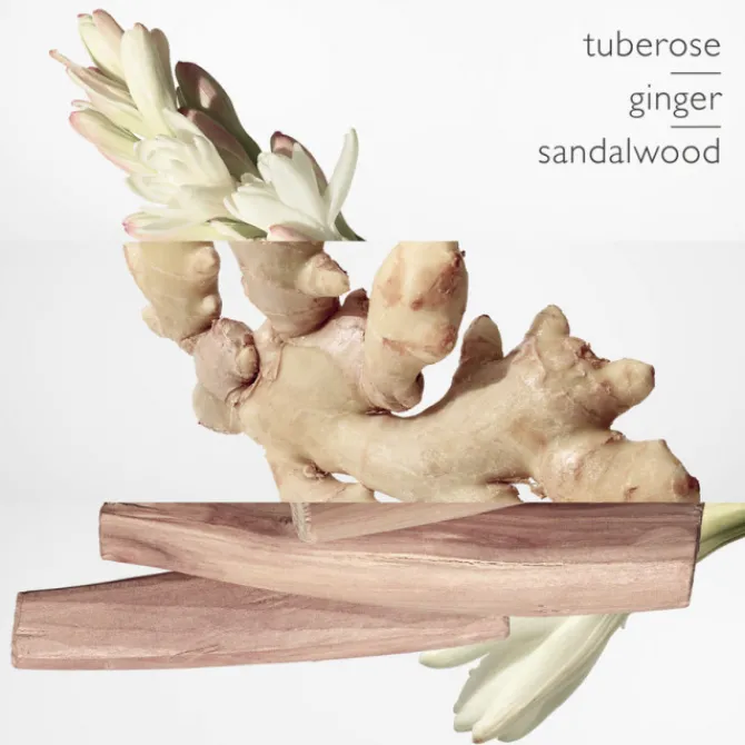 HERMES Eau De Parfum>Twilly d'Hermès