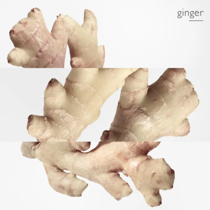 HERMES Eau De Parfum>Twilly d'Hermès