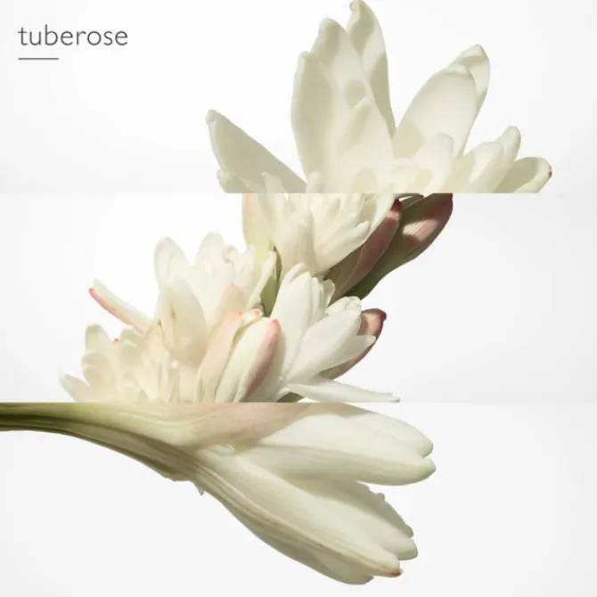 HERMES Eau De Parfum>Twilly d'Hermès