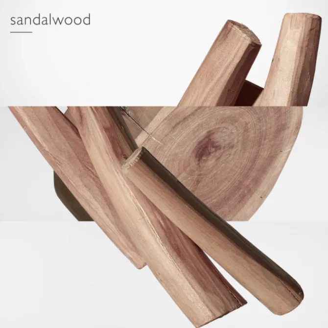 HERMES Eau De Parfum>Twilly d'Hermès