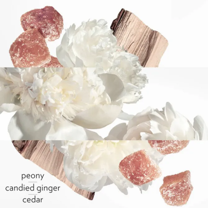 HERMES Eau De Parfum>Twilly d'Hermès Eau Ginger