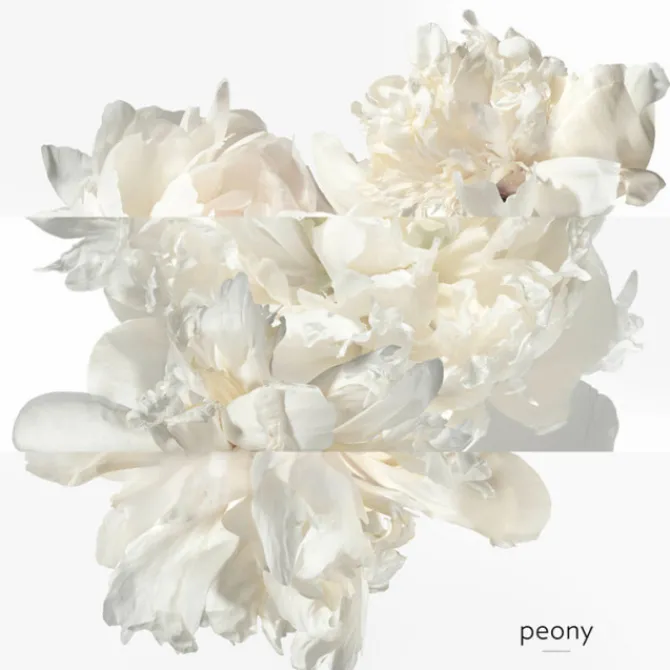 HERMES Eau De Parfum>Twilly d'Hermès Eau Ginger