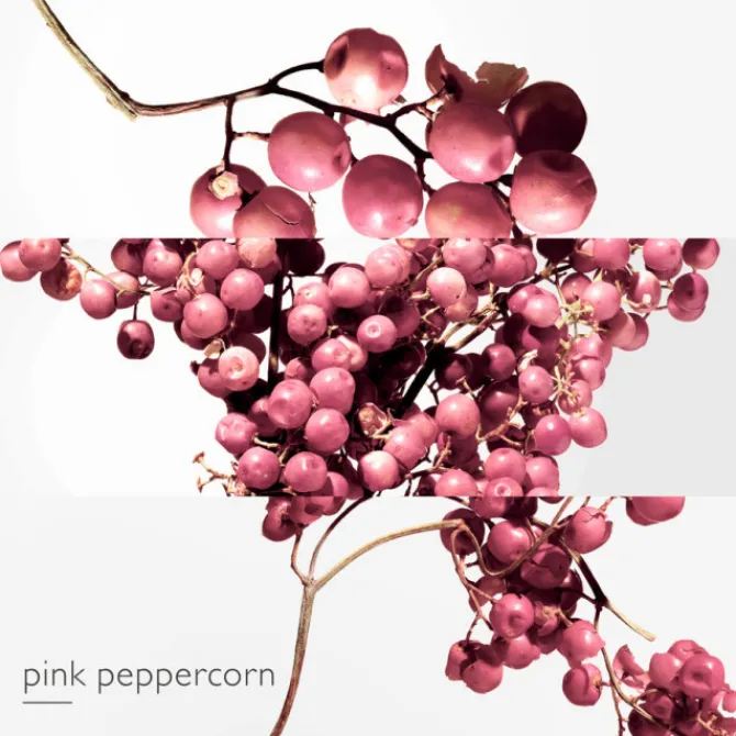 HERMES Eau De Parfum>Twilly d'Hermès Eau Poivrée