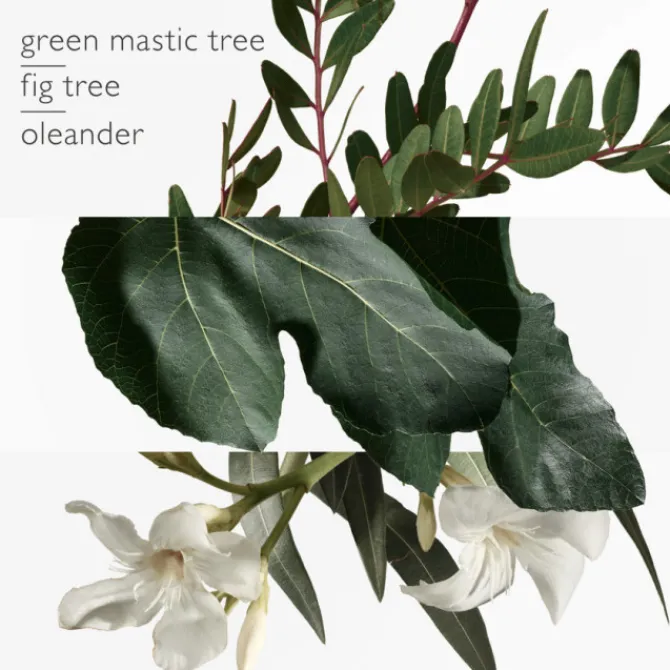 HERMES Parfums Mixtes|Eau De Toilette>Un Jardin en Méditerranée