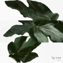 HERMES Parfums Mixtes|Eau De Toilette>Un Jardin en Méditerranée