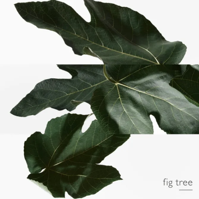 HERMES Parfums Mixtes|Eau De Toilette>Un Jardin en Méditerranée