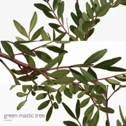 HERMES Parfums Mixtes|Eau De Toilette><noscript><img width=