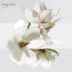 HERMES Parfums Mixtes|Eau De Toilette>Un Jardin sur la Lagune