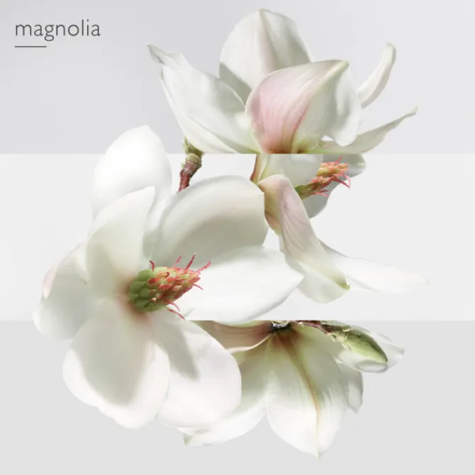 HERMES Parfums Mixtes|Eau De Toilette>Un Jardin sur la Lagune