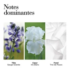 Elizabeth Arden Eau De Toilette|Parfums Petits Prix><noscript><img width=