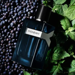Yves Saint Laurent Eau De Parfum>Y Men Intense