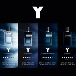 Yves Saint Laurent Eau De Parfum></noscript>Y Men Intense
