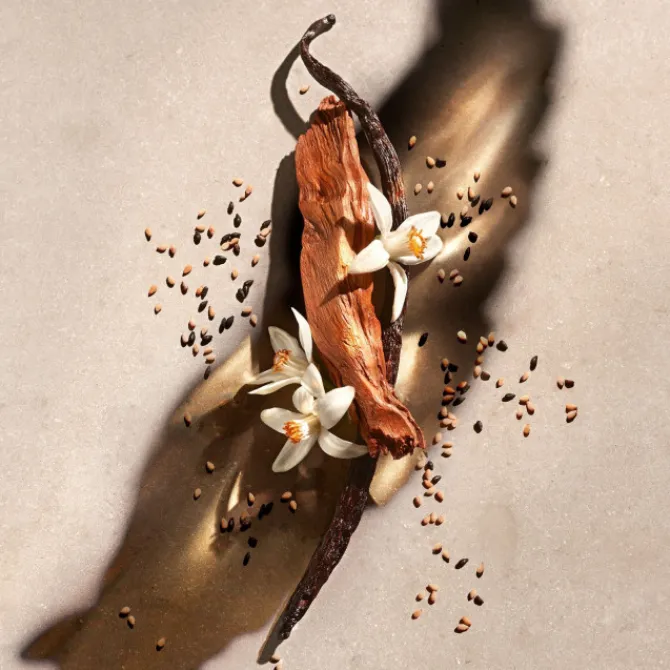 Zadig et Voltaire Eau De Parfum>Zadig